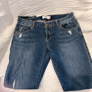 CAbi straight leg jean